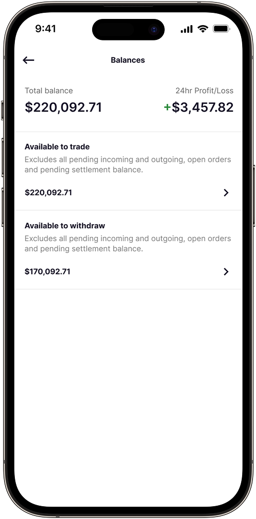 Detailed balance view with explanatory text