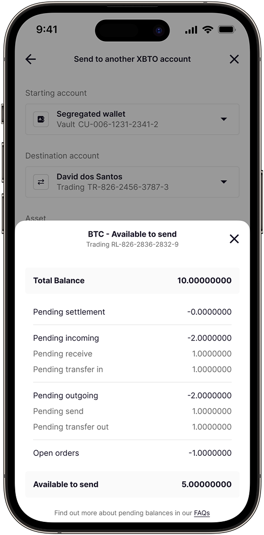 Send balance detail modal